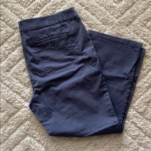 NWOT LOFT Chinos
